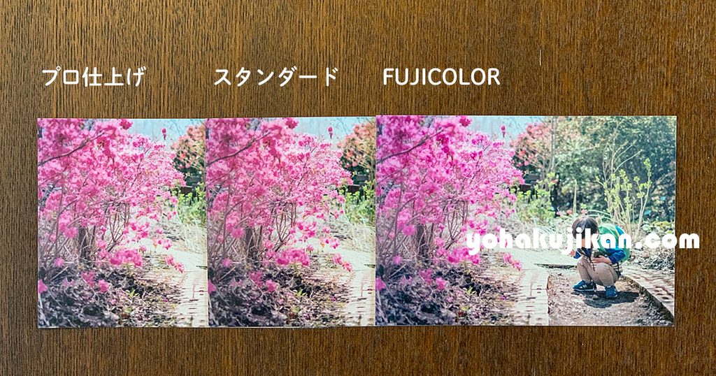つつじの写真を、プロ仕上げ、スタンダード、FUJICOLORの3種類で並べたもの。