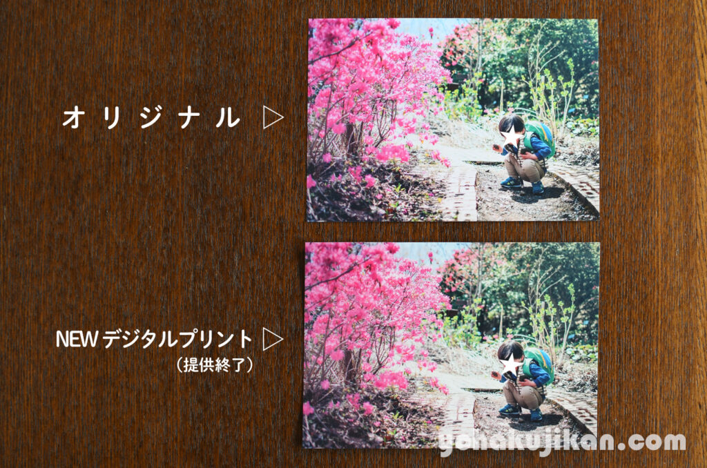 しまうまプリントのオリジナルと、提供が終わったNEWデジタルプリントで、同じつつじの写真を並べたところ