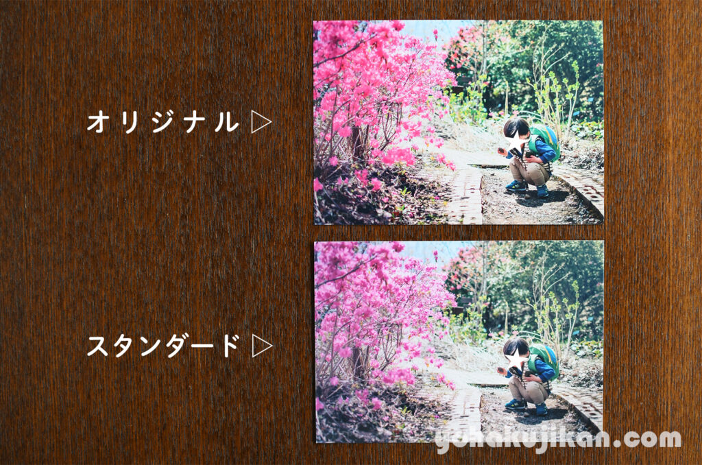しまうまプリントのオリジナルとスタンダードで、同じつつじの写真をL判で並べて比べたところ