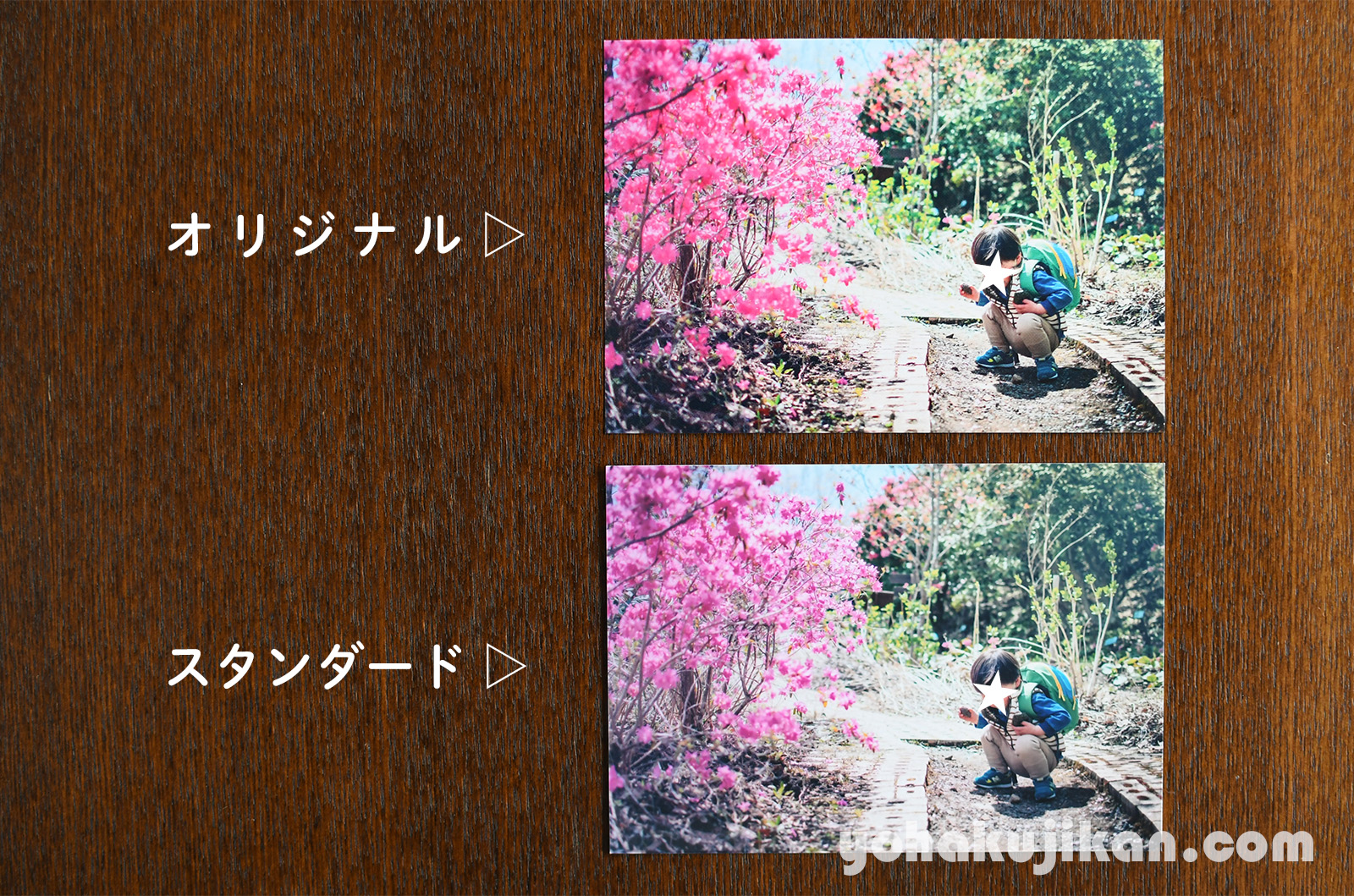 しまうまプリントのオリジナルとスタンダードで、同じつつじの写真をL判で並べて比べたところ